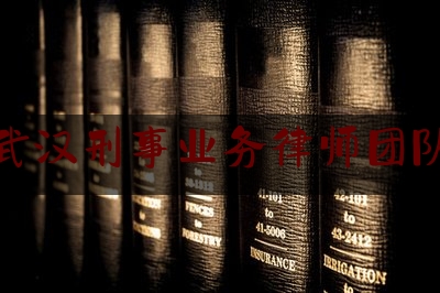 武汉刑事业务律师团队（武汉刑事律师协会）