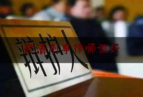 武清刑事律师谁好（武清律师事务所排名）