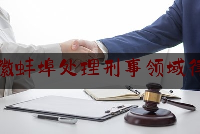 安徽蚌埠处理刑事领域律师（蚌埠最厉害的律师）