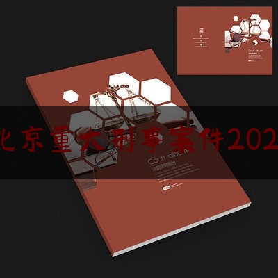 北京重大刑事案件2021（北京重大刑事案件2021判决）
