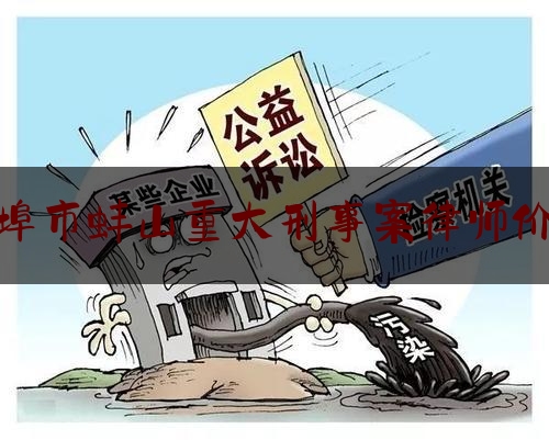 蚌埠市蚌山重大刑事案律师价格（蚌埠排前十的刑事案件）