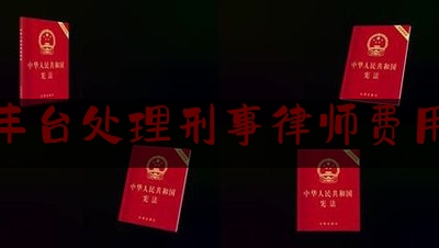 北京丰台处理刑事律师费用标准（北京丰台处理刑事律师费用标准是多少钱）