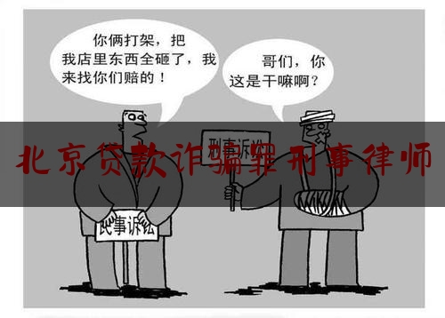 北京贷款诈骗罪刑事律师（北京最大贷款诈骗案例）