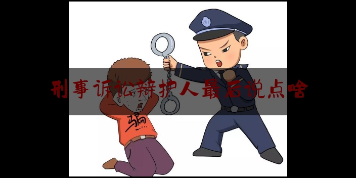 刑事诉讼辩护人最后说点啥