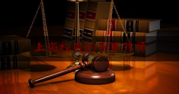 上海权威的刑事律师（上海权威的刑事律师排名）