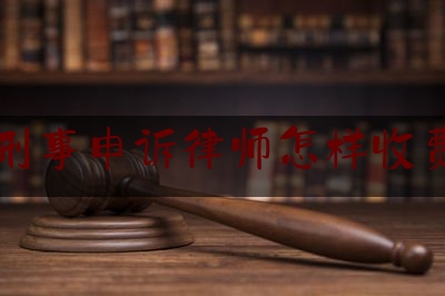 刑事申诉律师怎样收费（刑事申诉费用标准）