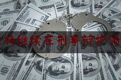 未来我将继续在刑事辩护领域努力（坚持下去,并不是我们真的足够坚强,而是我们别无选择）