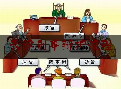 天津刑事辩护流程(天津刑事辩护的律师)