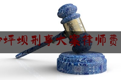 简单普及一下重庆沙坪坝刑事大案律师费用多少,重庆沙坪坝区律师辩护 非法持有毒品罪共犯名单