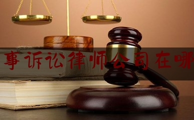 刑事诉讼律师公司在哪里（刑事诉讼律师公司在哪里办理）