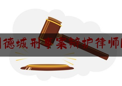 德州德城刑事案辩护律师服务（德州知名刑事案件律师）