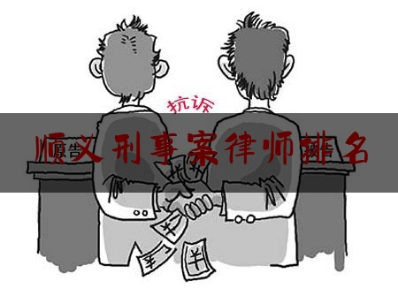 顺义刑事案律师排名（顺义最好的律师）