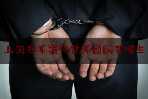 上海刑事案件律师团队有哪些（上海刑事律师排名前十名）