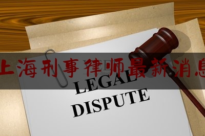 上海刑事律师最新消息（上海刑事案件律师收费标准和方式）