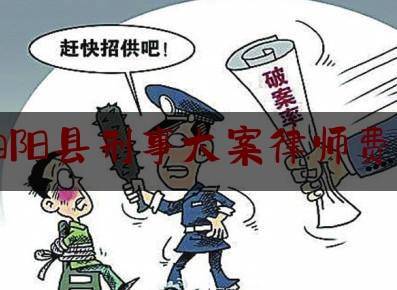 泗阳县刑事大案律师费用