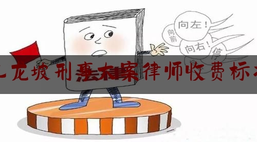 九龙坡刑事大案律师收费标准（九龙坡律师咨询）