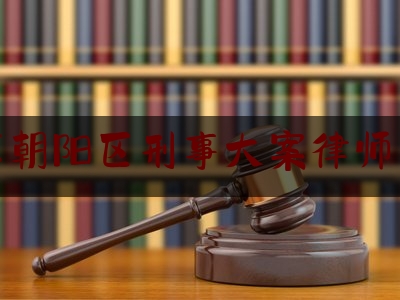 北京朝阳区刑事大案律师团队（北京朝阳区刑事律师事务所）