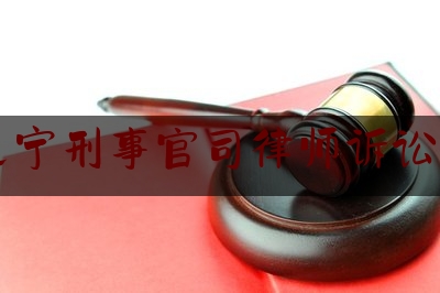 辽宁刑事官司律师诉讼费（刑事诉讼律师收费标准）