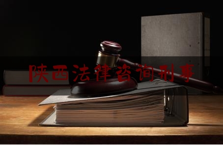 陕西法律咨询刑事（陕西法律咨询公司）