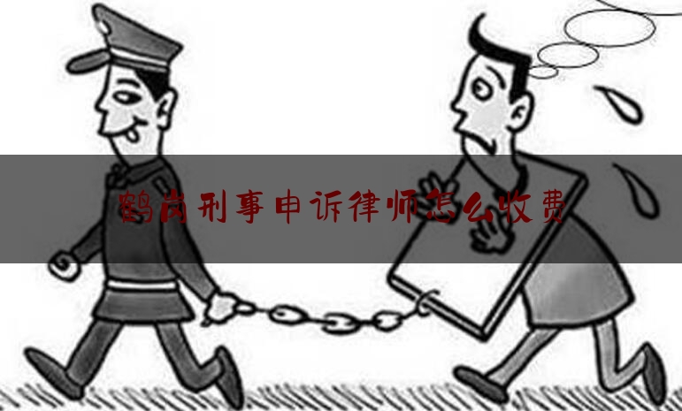 24小时专业讯息:鹤岗刑事申诉律师怎么收费,12309中国检察网查询