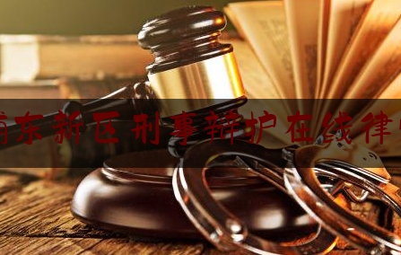浦东新区刑事辩护在线律师（上海浦东新区刑事辩护律师）