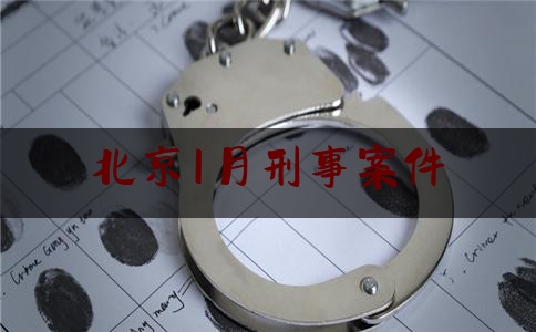 北京1月刑事案件（北京刑事大案）