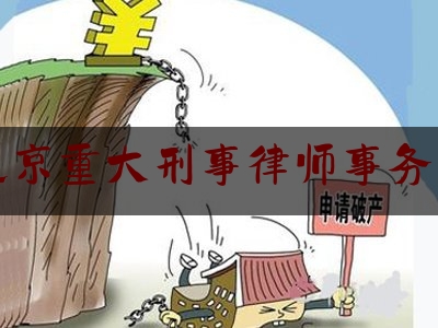 北京重大刑事律师事务所（北京知名刑事案件大律师）