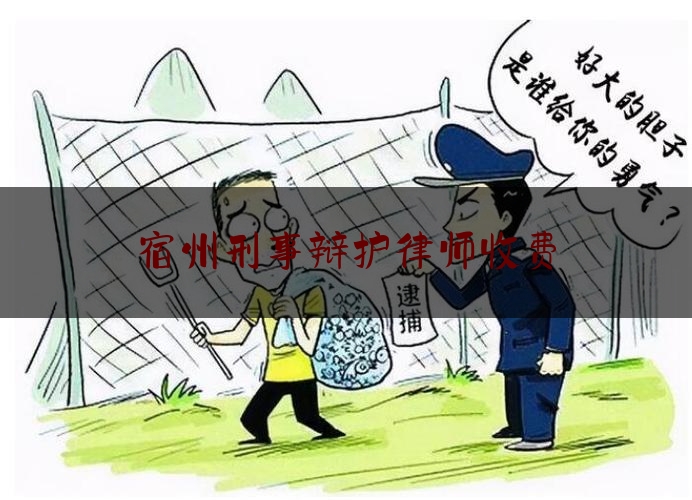 宿州刑事辩护律师收费（宿迁刑事辩护费用）