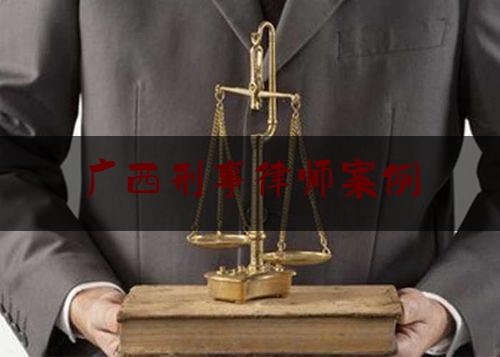 广西刑事律师案例（广西刑事辩护）