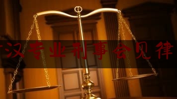 武汉专业刑事会见律师（武汉的刑事律师）