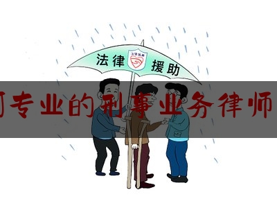 漯河专业的刑事业务律师费用（漯河律师所）