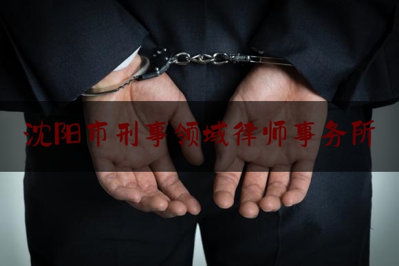 沈阳市刑事领域律师事务所（沈阳刑事案件律师事务所）