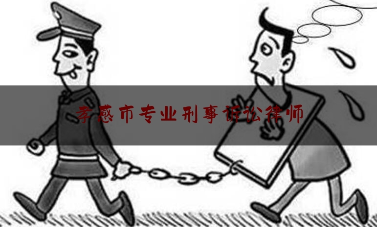 孝感市专业刑事诉讼律师（孝感市专业刑事诉讼律师名单）