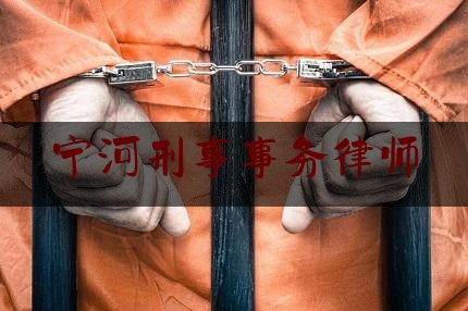 宁河刑事事务律师(宁法律师事务所)