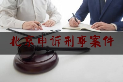 北京申诉刑事案件（北京刑事申诉辩护律师）