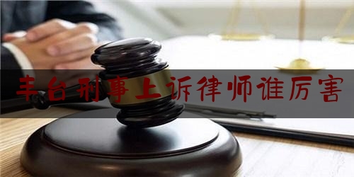 丰台刑事上诉律师谁厉害（丰台刑事案件）