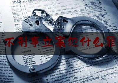 不刑事立案犯什么罪