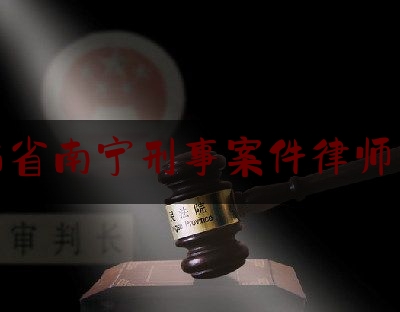广西省南宁刑事案件律师咨询（广西南宁刑事案件辩护律师）