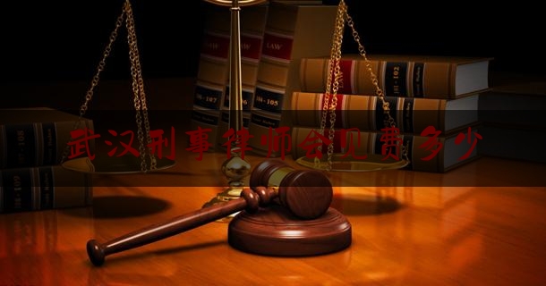 武汉刑事律师会见费多少（刑法律师会见）