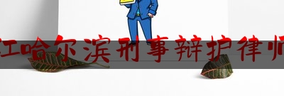 黑龙江哈尔滨刑事辩护律师服务（汤兰兰案百科）