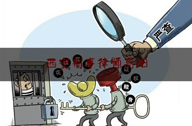 西安刑事律师高阳