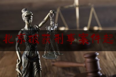 北京破获刑事案件起（北京破获刑事案件起诉书）