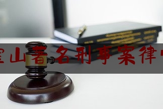 宝山著名刑事案律师（宝山著名刑事案律师名单）