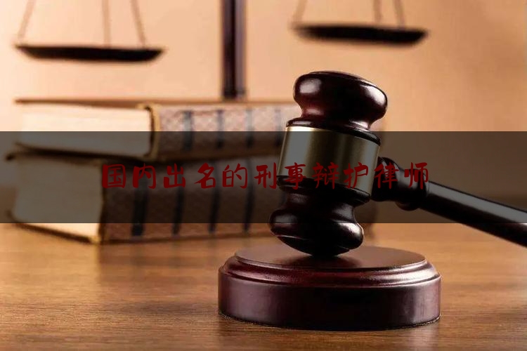 国内出名的刑事辩护律师（有名的刑事律师辩护）