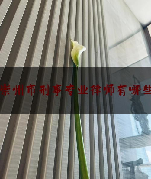 崇州市刑事专业律师有哪些（崇州市刑事专业律师有哪些名单）