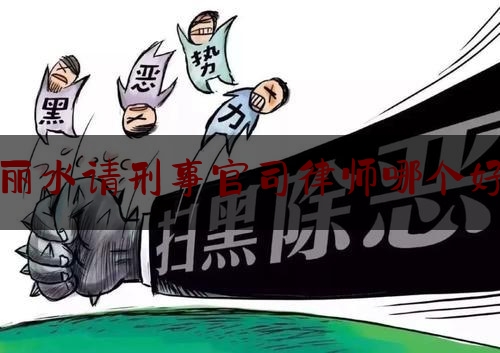 丽水请刑事官司律师哪个好（丽水律师排名）