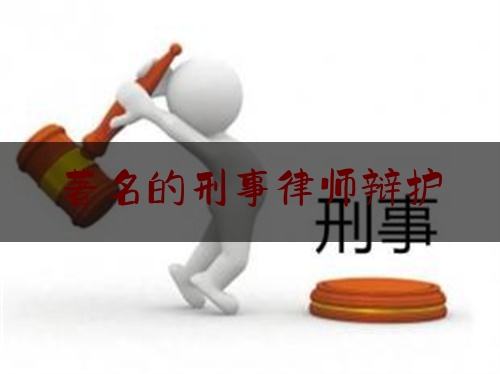 著名的刑事律师辩护