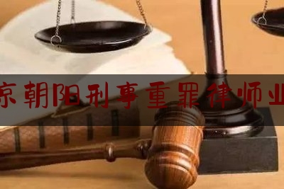北京朝阳刑事重罪律师业务（北京刑事犯罪律师律师所）