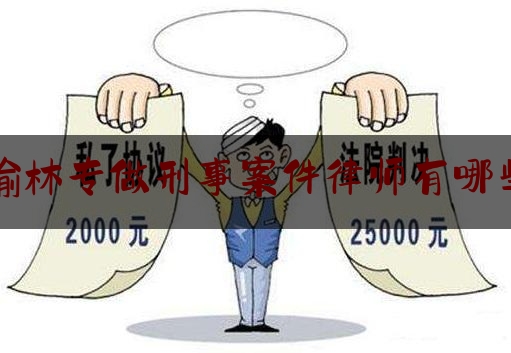 榆林专做刑事案件律师有哪些（榆林最厉害的刑事律师）