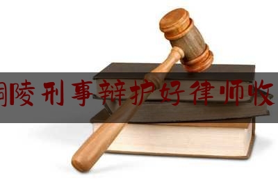 铜陵刑事辩护好律师收费（安徽法律援助中心12348）